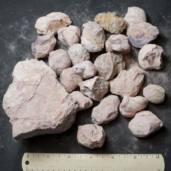 Laguna-like Thunderegg Nodules