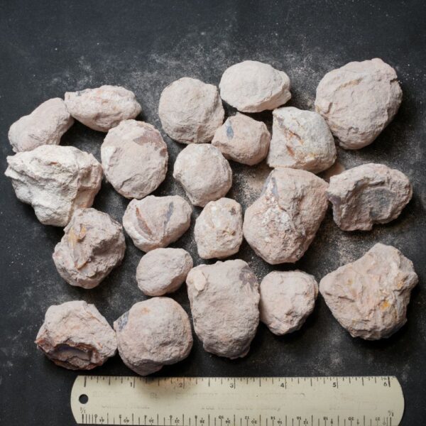 Laguna-like Thunderegg Nodules