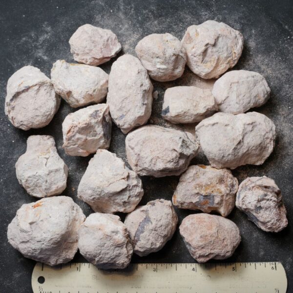 Laguna-like Thunderegg Nodules