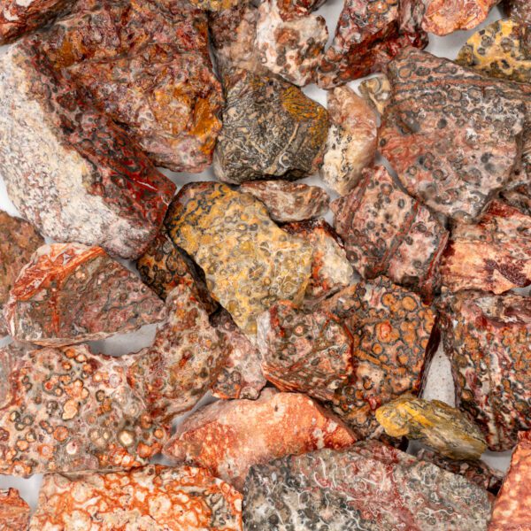 Leopard Skin Tumbling Rough (Per LB)