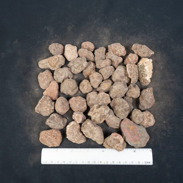 Malawi Agate Nodules