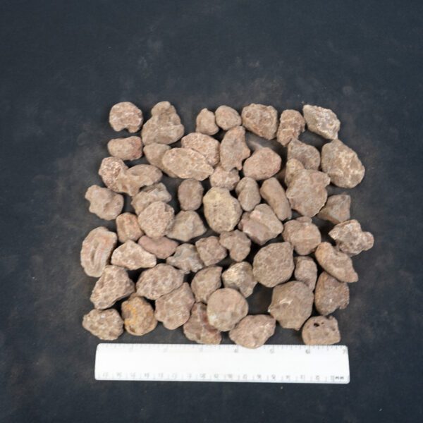 Malawi Agate Nodules