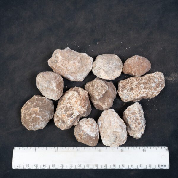Moctezuma Agate Nodules