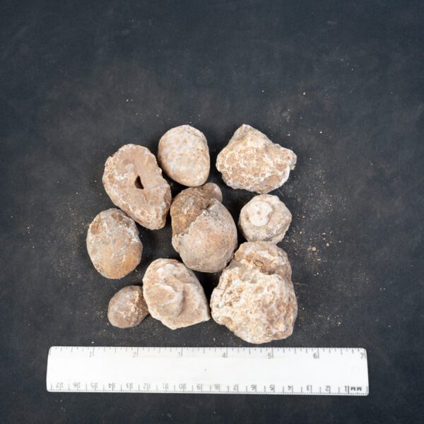 Moctezuma Agate Nodules
