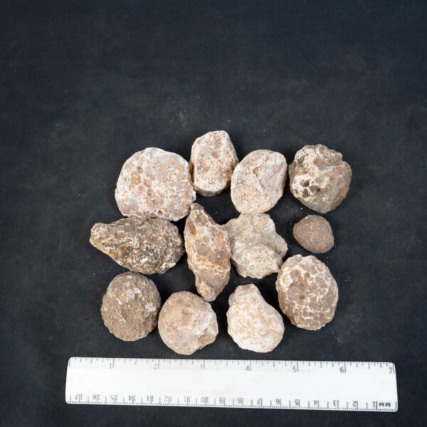 Moctezuma Agate Nodules