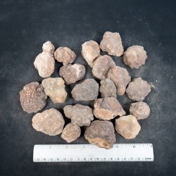Moroccan Agate Nodules