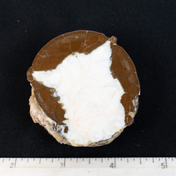 Oregon Thunderegg