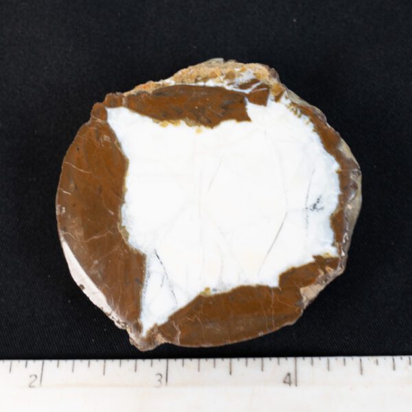 Oregon Thunderegg