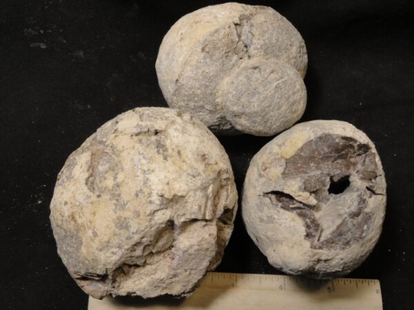 Dugway Geodes