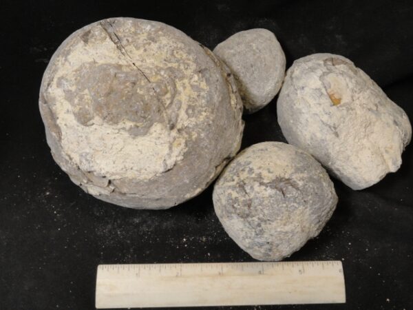 Dugway Geodes