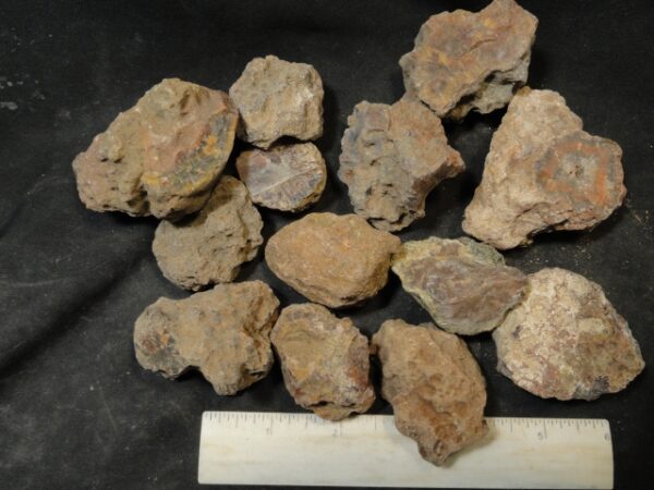 Condor Agate Nodules
