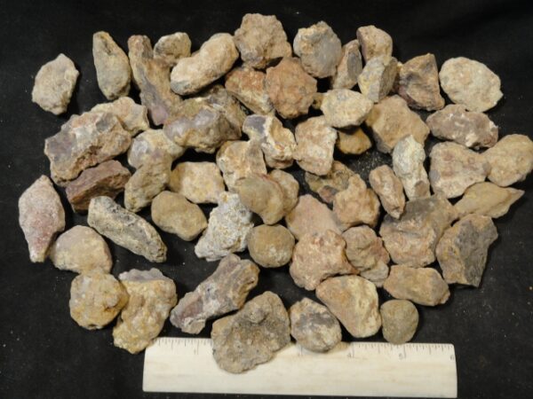 Laguna Agate Nodules
