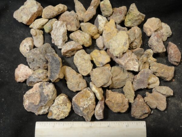 Laguna Agate Nodules