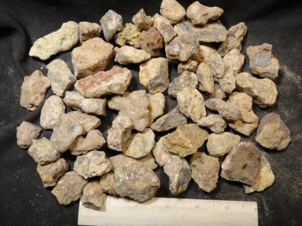 Laguna Agate Nodules