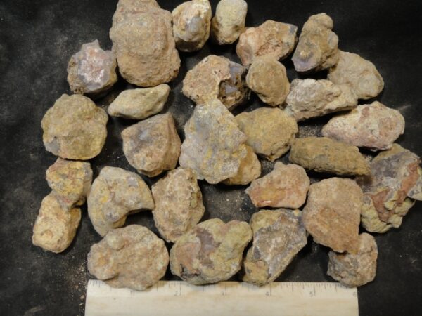 Laguna Agate Nodules