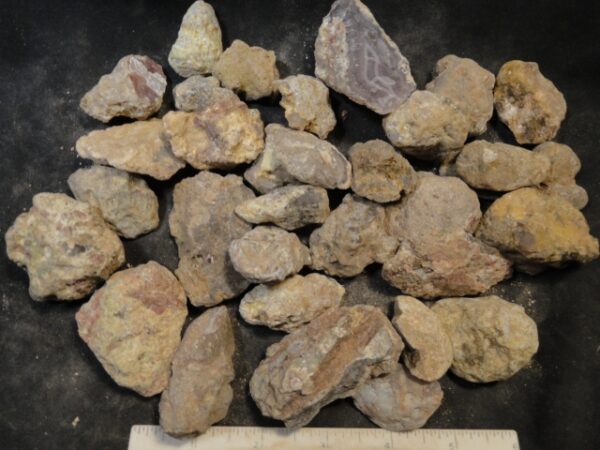 Laguna Agate Nodules