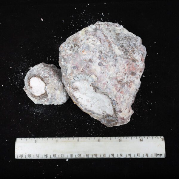 Baker Ranch Agate Nodules
