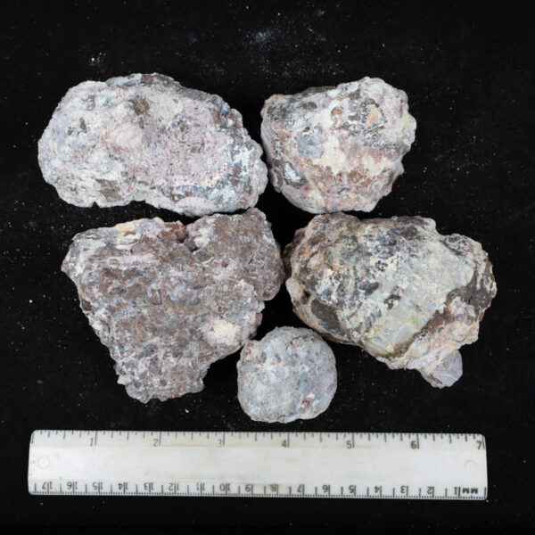 Baker Ranch Agate Nodules
