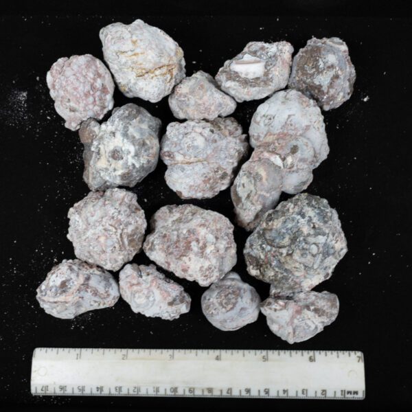 Baker Ranch Agate Nodules