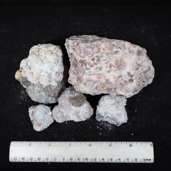 Baker Ranch Agate Nodules