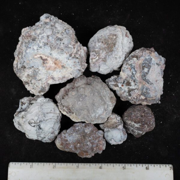 Baker Ranch Agate Nodules