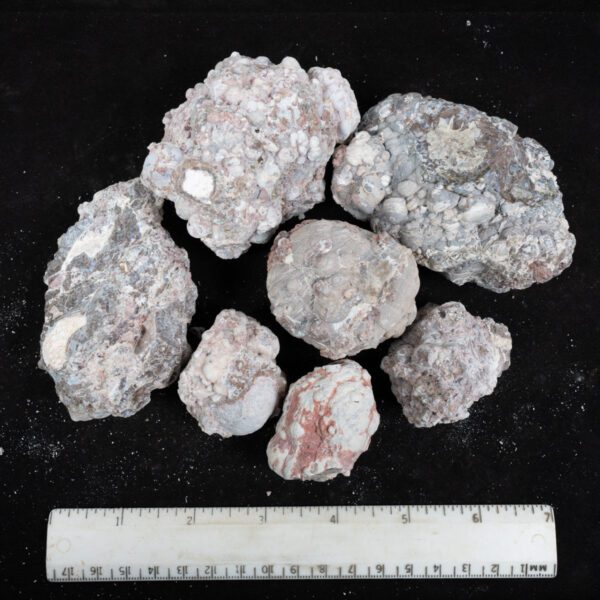 Baker Ranch Agate Nodules