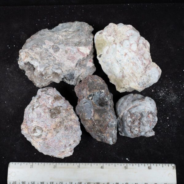 Baker Ranch Agate Nodules