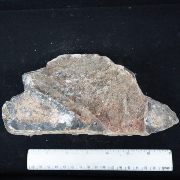 Big Diggins Agate Rough