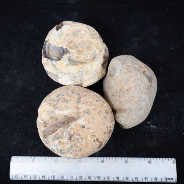 Brazilian Agate Nodules