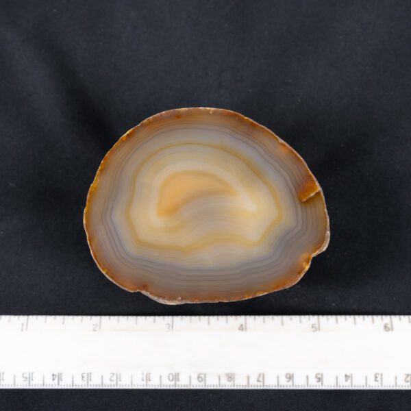 Brazilian Agate Specimen