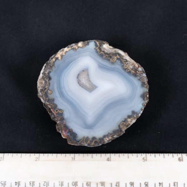 Coconut Geode Specimen