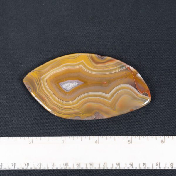 Condor Agate Slab
