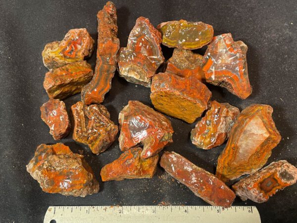 Condor Seam Agate Tumbling Rough - 2 lb Lot