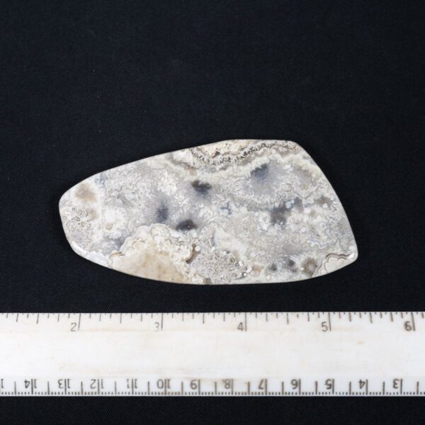 Crazy Lace Agate Slab