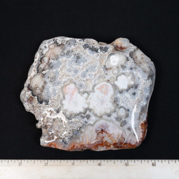 Crazy Lace Agate Specimen