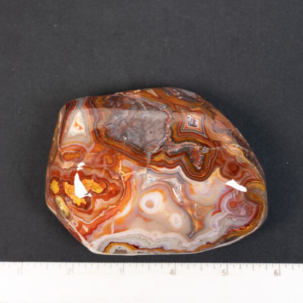 Crazy Lace Agate Specimen