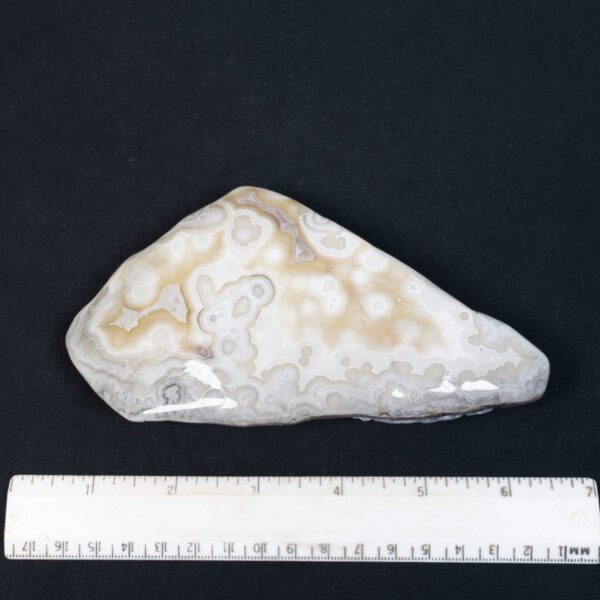 Crazy Lace Agate Specimen