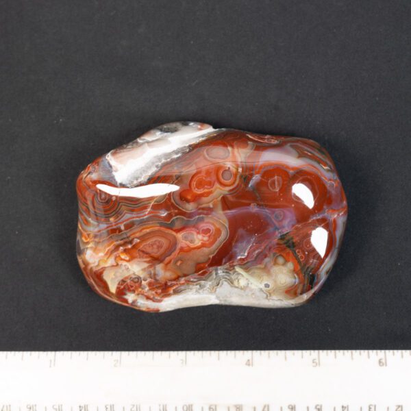 Crazy Lace Agate Specimen