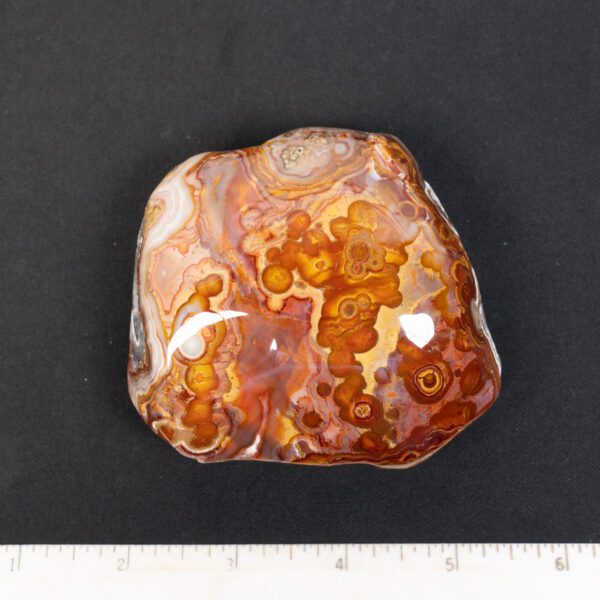 Crazy Lace Agate Specimen