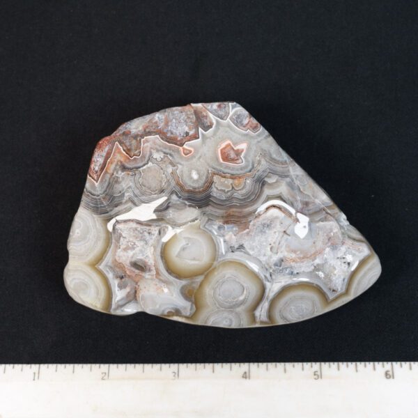 Crazy Lace Agate Specimen