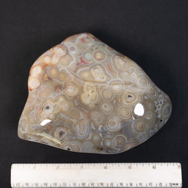Crazy Lace Agate Specimen