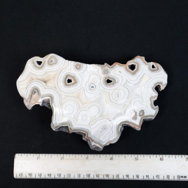 Crazy Lace Agate Specimen