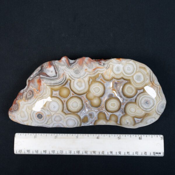 Crazy Lace Agate Specimen