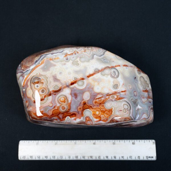 Crazy Lace Agate Specimen