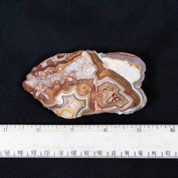 Crazy Lace Agate Specimen