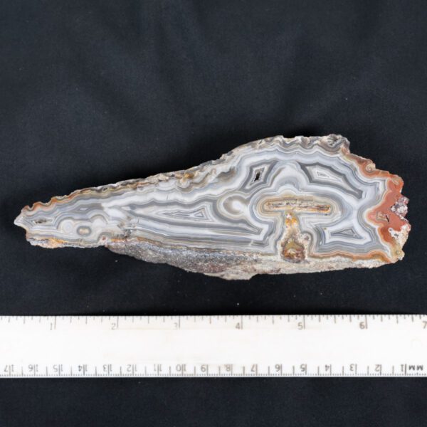 Crazy Lace Agate Specimen