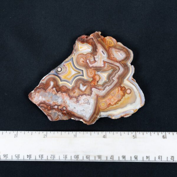 Crazy Lace Agate Specimen