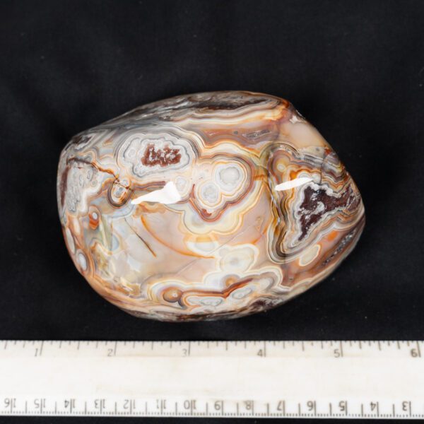Crazy Lace Agate Specimen