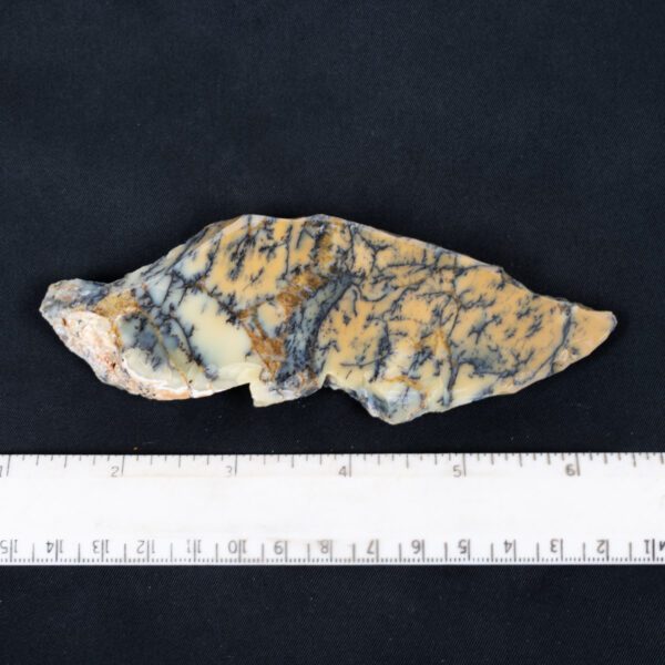 Dendritic Opal Specimen