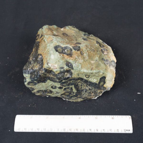 Kambaba Jasper Rough